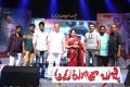 Aadu Magadura Bujji Audio Launch Stills