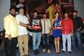 Aadu Magaadra Bujji Platinum Disc Function Photos