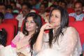 Aagadu Audio Release Photos