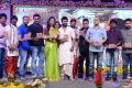 Aaha Kalyanam Audio Release Function Photos