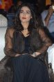Actress Aakanksha Singh Images @ Pehalwan Pre Release
