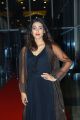 Actress Aakanksha Singh Images @ Pehlwaan Pre Release
