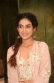 Actress Aakanksha Singh Pics @ JITO Lifestyle and Jewellery Expo Curtain Raiser