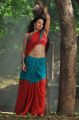 Aakasam Lo Sagam Actress Asha Saini in Saree Hot Pics