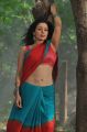 Actress Asha Saini in Akasamlo Sagam Hot Stills