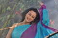 Actress Asha Saini in Aakasam Lo Sagam Hot Stills