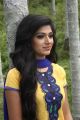 Actress Avantika Mohan in Aalamaram Movie Photos