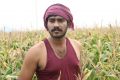 Actor Hemanth Kumar in Aalamaram Movie Photos