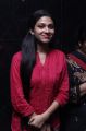 Actress Avantika Mohan @ Aalamaram Movie Press Show Stills
