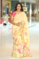 Actress Aamani New Saree Photos