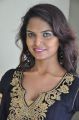 Telugu Actress Asha Photos @ Freedom from Corruption Press Meet