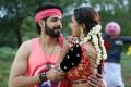 Aatadukundam Raa Movie Palleku Podam…Parunu Chuddam Song Images