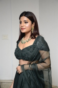 Actress Aathmika Green Dress Pictures @ Vijaya Raghavan Pre Release