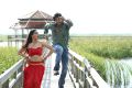 Samuthrika, Vinay Rai in Aayirathil Iruvar Movie New Photos