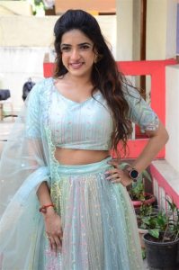 Kaliyuga Pattanamlo Actress Aayushi Patel Interview Pictures