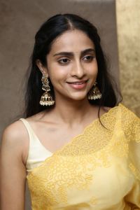 Baapu Movie Actress Abitha Venkataraman Saree Photos