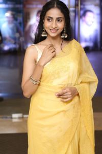 Baapu Movie Actress Abitha Venkat Saree Photos