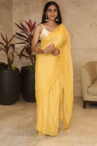 Actress Abitha Venkataraman Saree Photos @ Baapu Pre Release