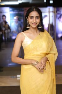 Actress Abitha Venkat Saree Photos @ Baapu Pre Release