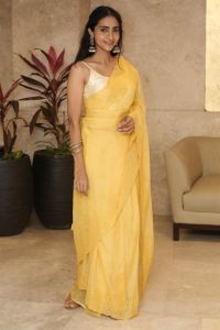 Actress Abitha Venkataraman Saree Photos @ Baapu Pre Release