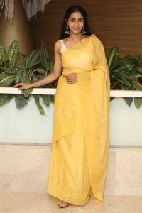 Actress Abitha Venkat Saree Photos @ Baapu Pre Release