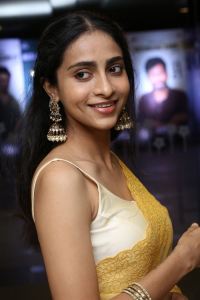 Baapu Movie Actress Abitha Venkataraman Saree Photos