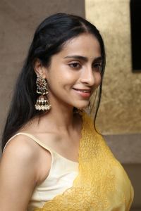 Baapu Movie Actress Abitha Venkat Saree Photos