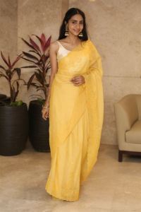 Actress Abitha Venkat Saree Photos @ Baapu Pre Release