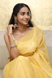 Actress Abitha Venkataraman Saree Photos @ Baapu Pre Release