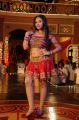 Shweta Basu Prasad Hot in Acham Thavir Movie Stills