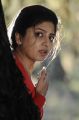 Actress Poonam Kaur in Acharam Tamil Movie Stills
