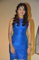 Actress Sheena Shahabadi at Action 3D Movie Audio Release Photos