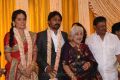 Sowcar Janaki @ Krishna Kulasekaran Wedding Reception Stills