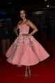 Actress Catherine Tresa @ 64th Filmfare Awards 2017 South Red Carpet Stills