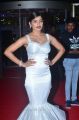 Actress Sanchita Shetty @ 64th Filmfare Awards 2017 South Red Carpet Stills