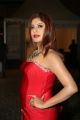 Actress Sejal Jen Shah @ 64th Filmfare Awards 2017 South Red Carpet Stills
