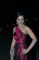 Actress Shruti Hariharan @ 64th Filmfare Awards 2017 South Red Carpet Stills