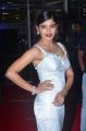 Actress Sanchita Shetty @ 64th Filmfare Awards 2017 South Red Carpet Stills