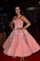 Actress Catherine Tresa @ 64th Filmfare Awards 2017 South Red Carpet Stills