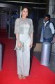 Actress Regina Cassandra @ 64th Filmfare Awards 2017 South Red Carpet Stills