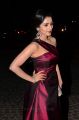Actress Shruti Hariharan @ 64th Filmfare Awards 2017 South Red Carpet Stills