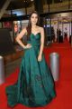 Actress Raashi Khanna @ 64th Filmfare Awards 2017 South Red Carpet Stills