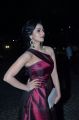 Actress Shruti Hariharan @ 64th Filmfare Awards 2017 South Red Carpet Stills