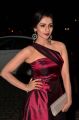 Actress Shruti Hariharan @ 64th Filmfare Awards 2017 South Red Carpet Stills