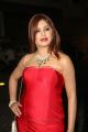 Actress Sejal Jen Shah @ 64th Filmfare Awards 2017 South Red Carpet Stills