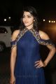 Actress Dhanshika @ 64th Filmfare Awards 2017 South Red Carpet Stills