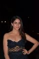 Actress Lavanya Tripathi @ 64th Filmfare Awards 2017 South Red Carpet Stills