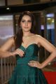 Actress Raashi Khanna @ 64th Filmfare Awards 2017 South Red Carpet Stills