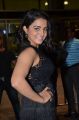 Actress Wamiqa Gabbi @ 64th Filmfare Awards 2017 South Red Carpet Stills