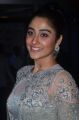 Actress Regina Cassandra @ 64th Filmfare Awards 2017 South Red Carpet Stills